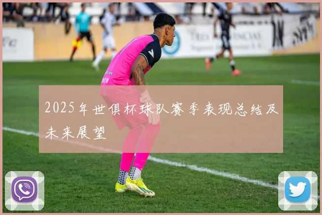 2025年世俱杯球队赛季表现总结及未来展望