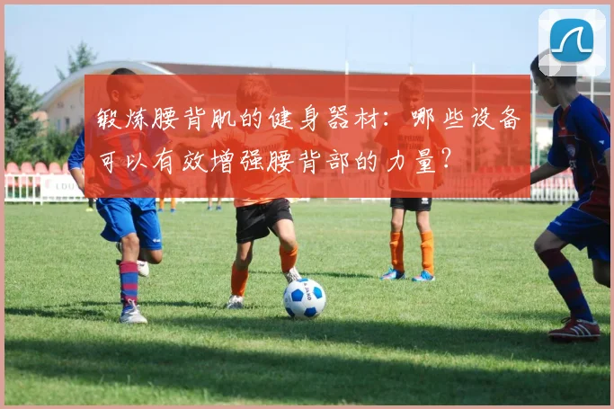 锻炼腰背肌的健身器材：哪些设备可以有效增强腰背部的力量？