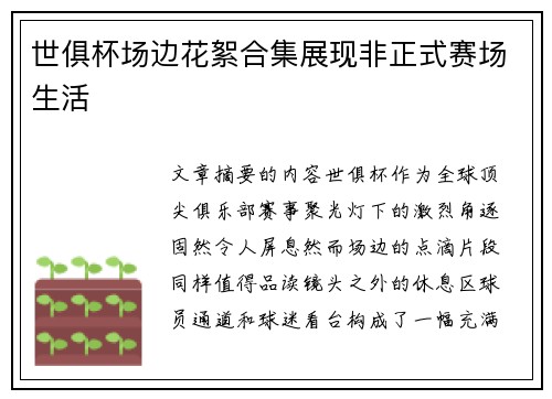 世俱杯场边花絮合集展现非正式赛场生活
